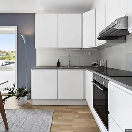 Appartement Eksklusiv Byleilighet Med Utsikt I Sentrum Trondheim